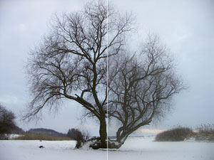 Réteg összhatás: Normal