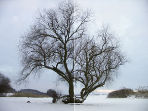 Réteg összhatás: Screen