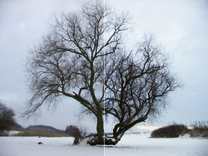 Réteg összhatás: Overlay