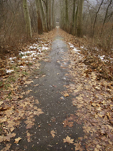 Téli álom Visegrádon