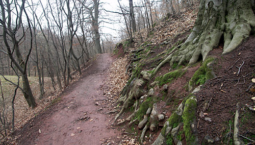 azok a megunhatatlan gyökerek
