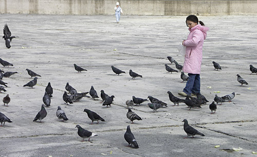 Vásárnapi Városliget