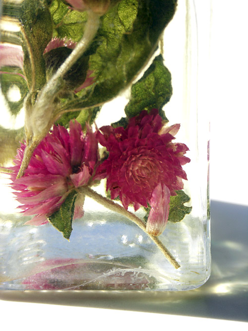 Makró fotó: olajba zárt virágok