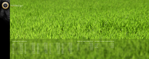 Tavaszi háttérkép – szabvány méretekkel