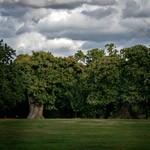 Csicseri Londonból #3: 2008. október 27.