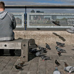 Csicseri Londonból #3: 2008. október 27.