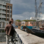 Csicseri Londonból #3: 2008. október 27.