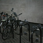 Csicseri Londonból #4: 2008. november 2–6.