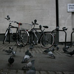 Csicseri Londonból #4: 2008. november 2–6.