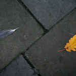 Csicseri Londonból #4: 2008. november 2–6.