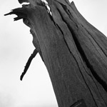 Csicseri Londonból #5: 2008. november 23–29.