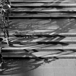 Csicseri Londonból #5: 2008. november 23–29.