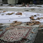 Csicseri Londonból #8: 2009. január 11.