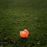 Csicseri Londonból #9: 2009. január 25.