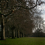 Csicseri Londonból #9: 2009. január 25.