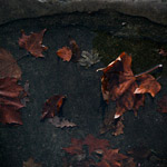 Csicseri Londonból #10: 2009. február 2–3.