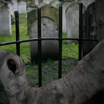 Csicseri Londonból #10: 2009. február 2–3.