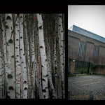 Csicseri Londonból #10: 2009. február 2–3.