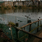 Csicseri Londonból #10: 2009. február 2–3.