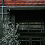 Csicseri Londonból #11: 2009. február 17. – március 7.