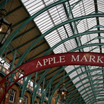 Csicseri Londonból #11: 2009. február 17. – március 7.