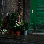 Csicseri Londonból #12: 2009. március 8. – április 1.