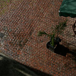 Csicseri Londonból #12: 2009. március 8. – április 1.