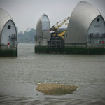 Csicseri Londonból #14: 2009. május