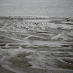 Csicseri Londonból #15: 2009. június