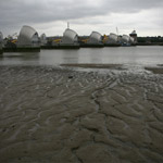 Csicseri Londonból #15: 2009. június