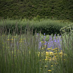 Csicseri Londonból #15: 2009. június