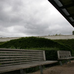 Csicseri Londonból #15: 2009. június