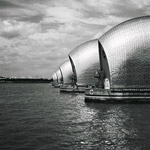 Csicseri Londonból #15: 2009. június