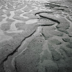 Csicseri Londonból #15: 2009. június