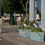 Csicseri Londonból #16: 2009. július