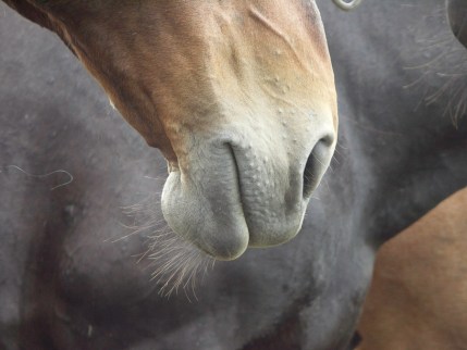 Hetikép #16 – az eredeti