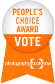 Photography Book Now 2010 szavazás