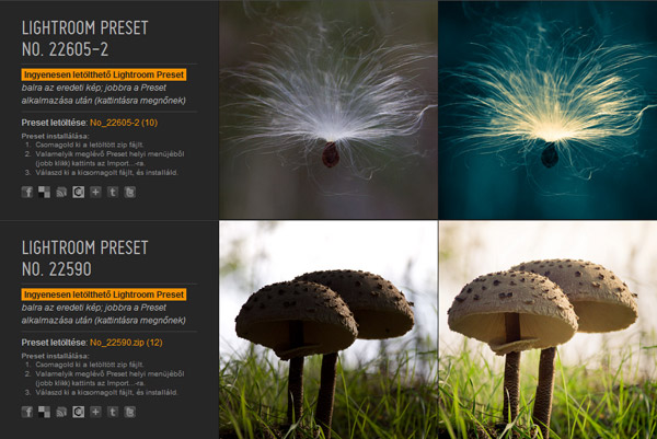 Ingyenesen letölthető Lightroom Presetek