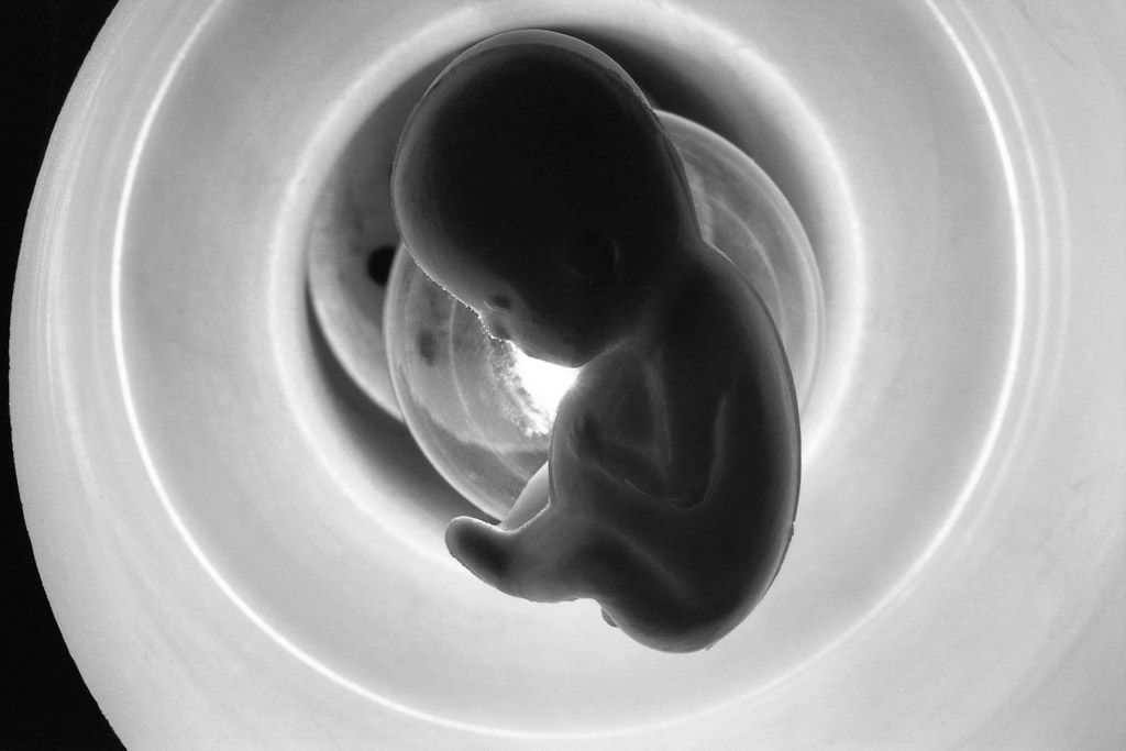 2012|12|12 projekt: 1997