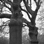 Csicseri Londonból #5: 2008. november 23–29.