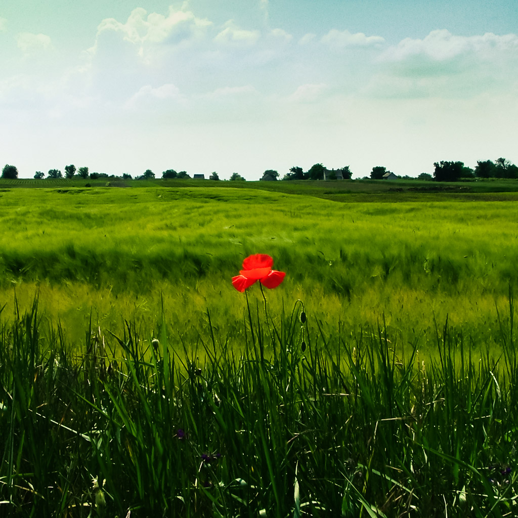 2013|11|9 projekt: 2004