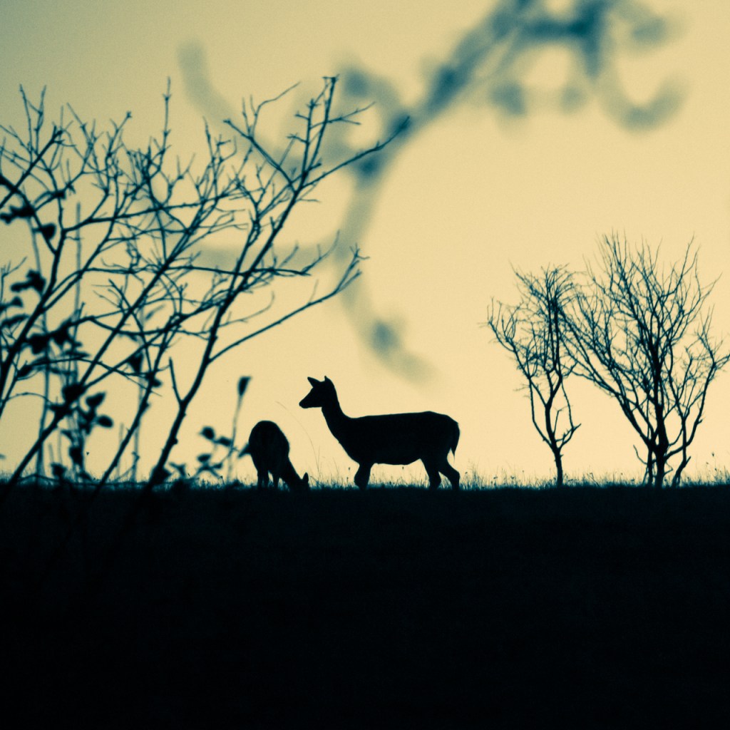 2013|11|9 projekt: 2010