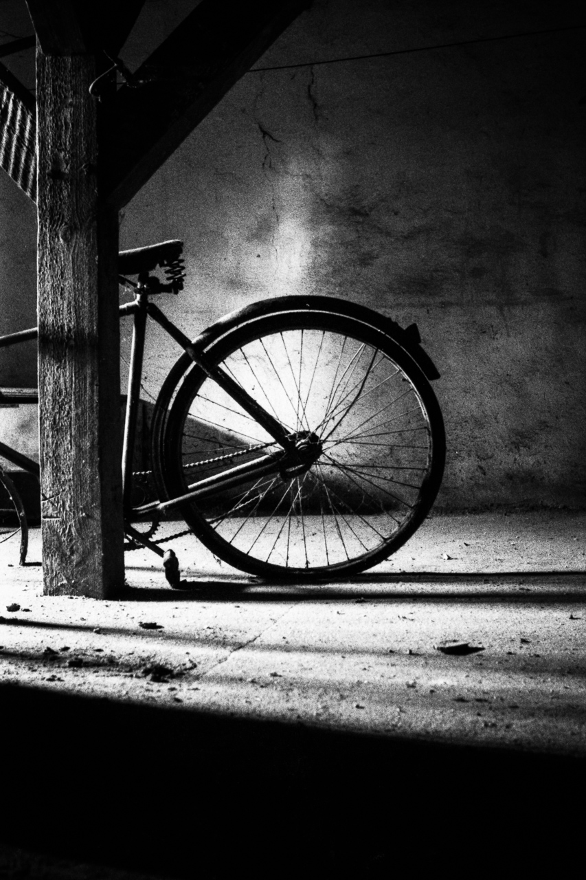 22FF projekt: 1992–1996