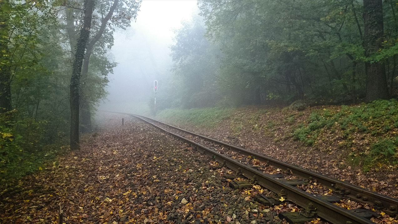 #255 • 2014. 10. 19. • Budapest: Hárshegy