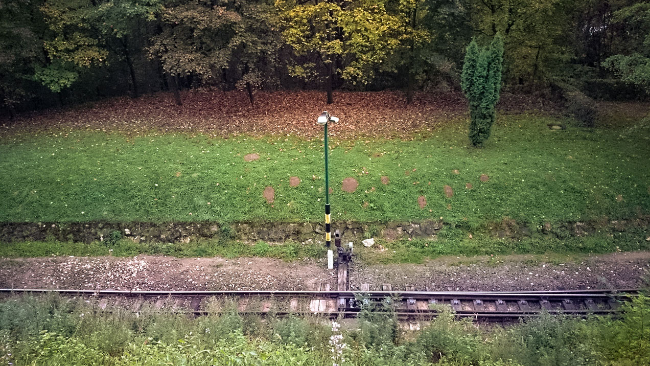 #256 • 2014. 10. 21. • Budapest: Hárshegy