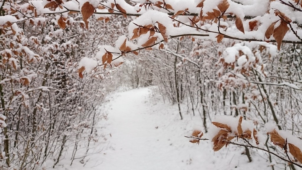 #272 • 2014. 12. 28. • Budapest: Jánoshegy,&nbsp;Budakeszierdő