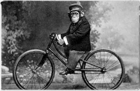 buji_ferenc_az_ember_evolucios_onertelmezese