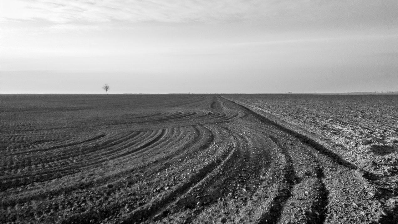 #286 • 2015. 04. 05. • Kardoskút-Pusztaközpont
