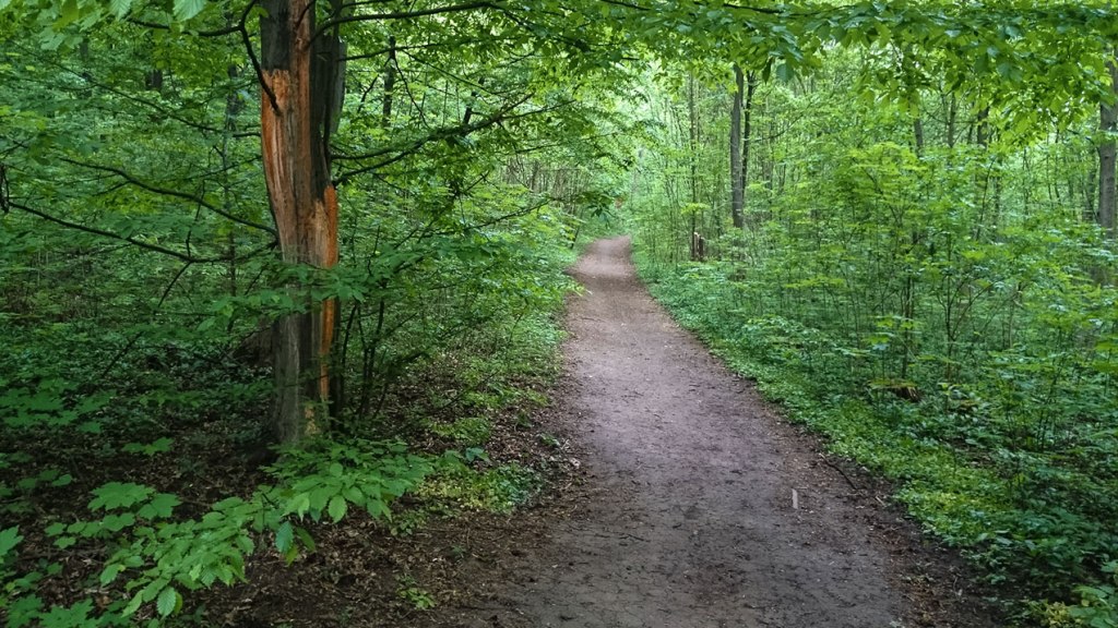 #291 • 2015. 05. 03. • Budaörs:&nbsp;Kamaraerdő