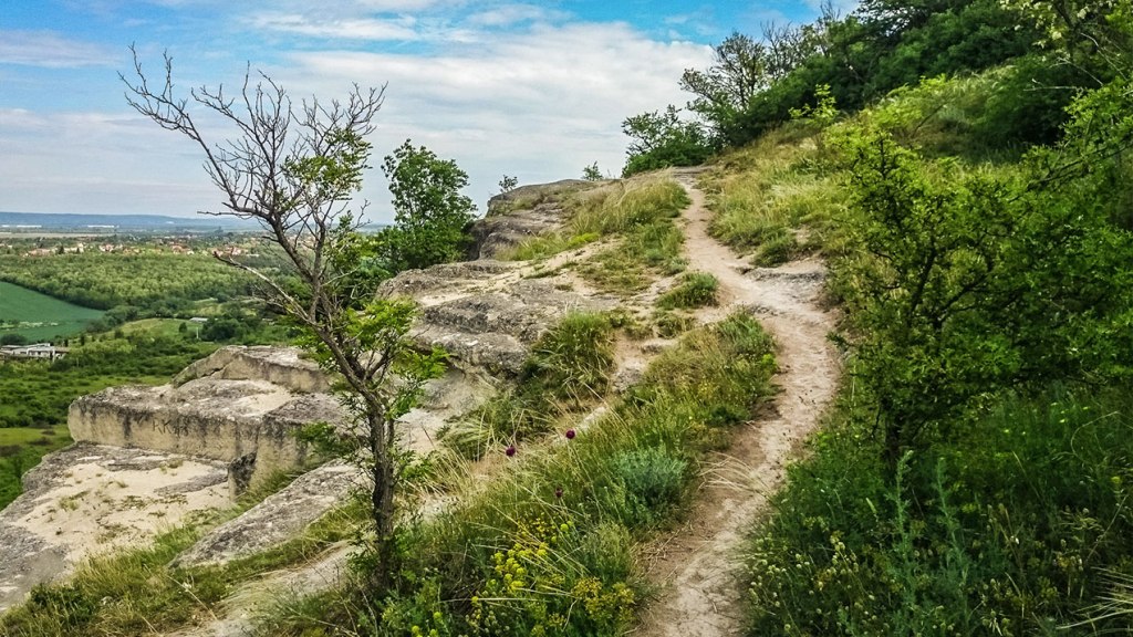 #294 • 2015. 05. 17. • Biatorbágy: Biatorbágy, Nap-hegy, Kő-hegy, Iharos-hegy, Dobogó-hegy, Nyakas-kő, Szarvas-hegy,&nbsp;Közép-hegy